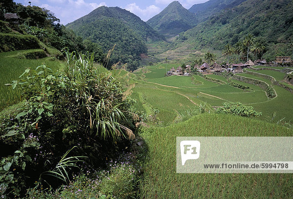 Reisfelder in der Nähe der Ifugao Dorf von Banga-An  Nord  Insel Luzon  Philippinen  Südostasien  Asien
