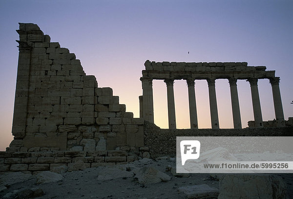 Ruinen am Sonnenuntergang  archäologischer Standort  Jerash  Jordan  Naher Osten
