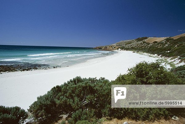 Stokes Bay an der Nordküste  Kangaroo Island  South Australia  Australien  Pazifik