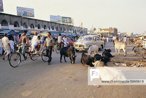 Marktplatz  Puri  Bundesstaat Orissa  Indien  Asien