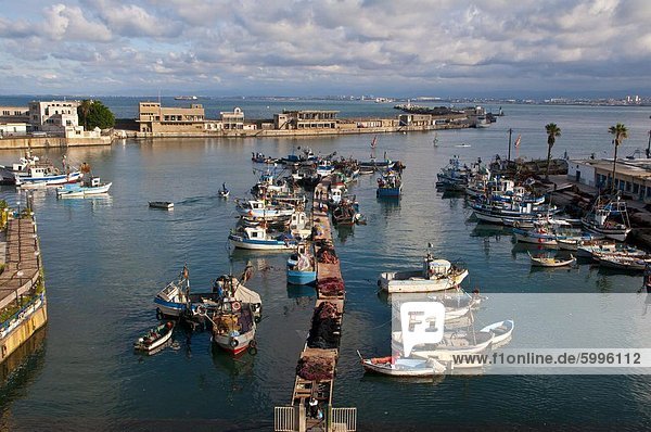 Der Hafen von Algier  Nordafrika  Afrika