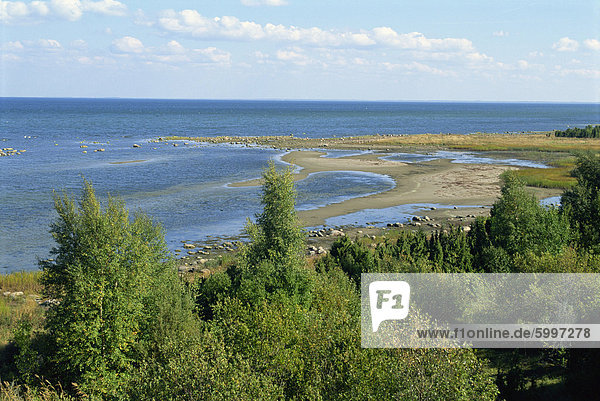 Coast of Muhu  an island to the west of Tallinn  Estonia  Baltic States  Europe