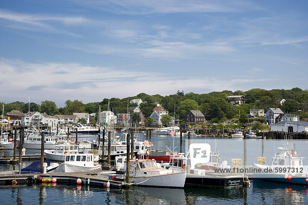 Fischerboote im Hafen in Gloucester  Massachusetts  Neuengland  Vereinigte Staaten von Amerika  Nordamerika