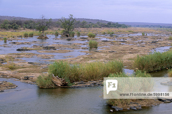 Olifants River  Krüger Nationalpark  Südafrika  Afrika