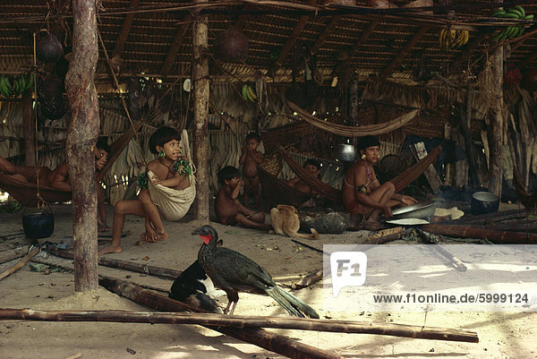 Jacu Vogel in Hütte mit Yanomami Indianer  Brasilien  Südamerika