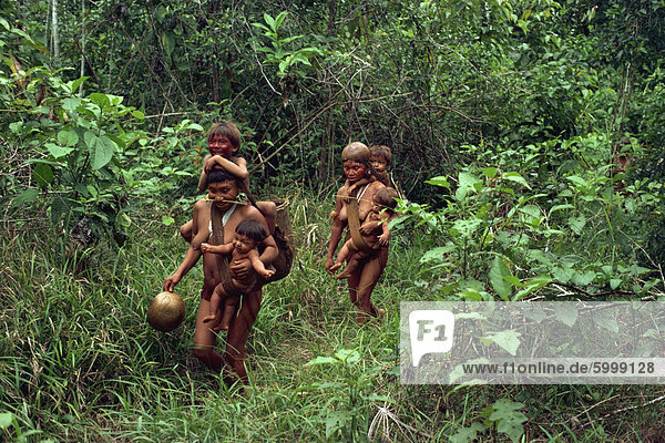 Yanomami Indianer auf dem Weg zu einem Festmahl  Brasilien  Südamerika