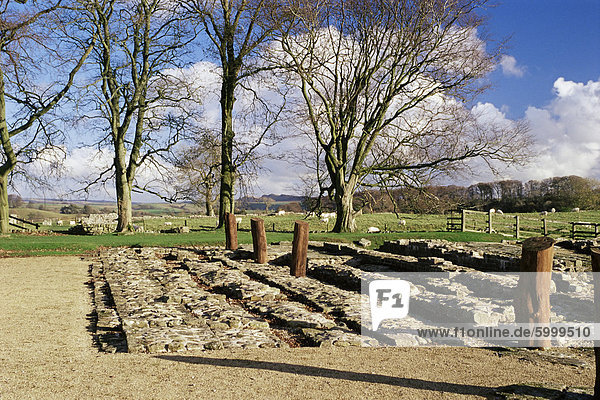 Birdoswald Fort  römische Mauer  Hadrianswall  UNESCO World Heritage Site  Northumbria  England  Vereinigtes Königreich  Europa