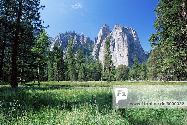 Blick über Wiesen  Cathedral Rocks  Yosemite National Park  UNESCO Weltkulturerbe  California  Vereinigte Staaten von Amerika  Nordamerika