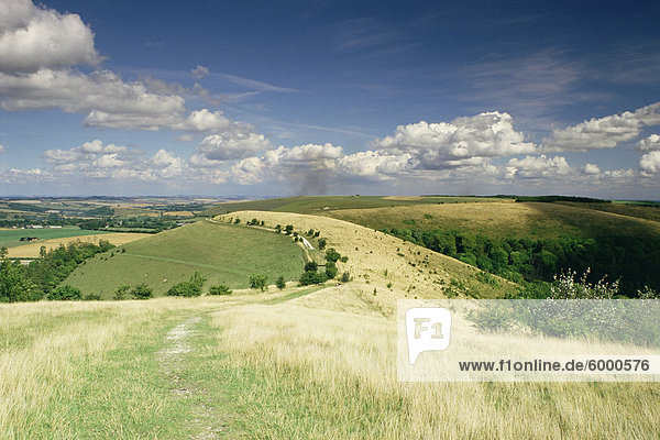Landschaft mit Wolken  Win Green  Wiltshire  England  Vereinigtes Königreich  Europa