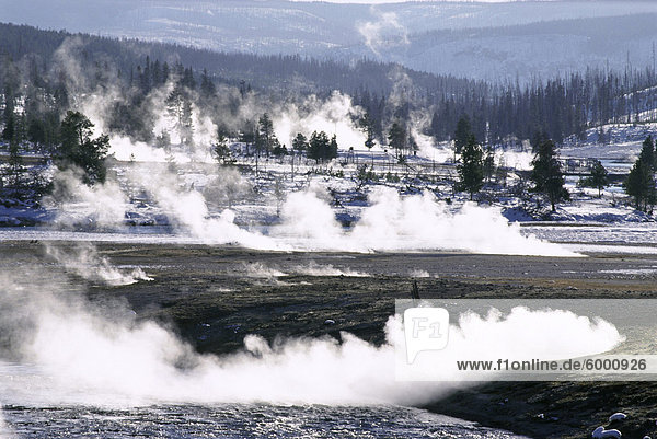 Dampf aus heißen Quellen und Schnee-free heißen Boden im Midway-Becken im Winter  Yellowstone National Park  UNESCO Weltkulturerbe  Wyoming  Vereinigte Staaten von Amerika (U.S.A.)  Nordamerika