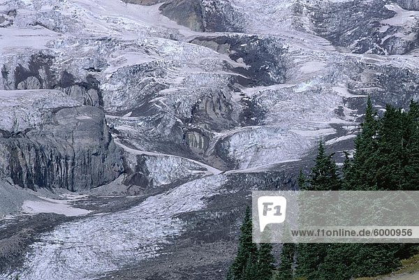 Der Nisqually Gletscher  der vom Gipfel des 4394m-Vulkan Mount Rainier  höchster Punkt im US-Bundesstaat Washington  Vereinigte Staaten von Amerika (U.S.A.)  Nordamerika Zustand fließt
