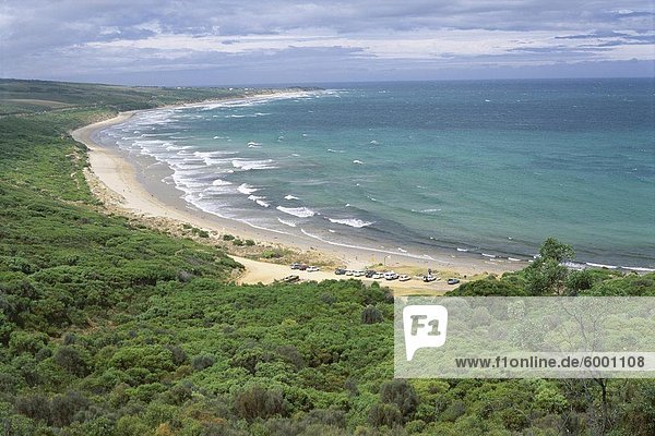 Küste von der Angahook-Lorne State Park  westlich von Anglesea  auf der Great Ocean Road  Victoria  Australien  Pazifik