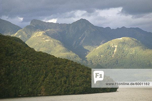 Mattes Sound Fiordland Southland Südinsel Neuseeland Pazifik