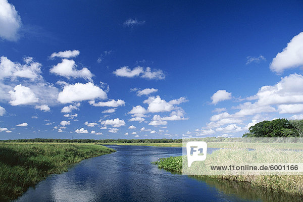 Blick vom Ufer der weißen Wolken und blauer Himmel  Myakka River State Park in der Nähe von Sarasota  Florida  Vereinigte Staaten von Amerika (U.S.A.)  Nordamerika