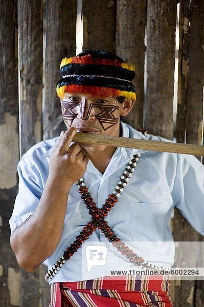 Ein Mann der Achuar spielt eine Achuar Flöte  Amazonas  Ecuador  Südamerika