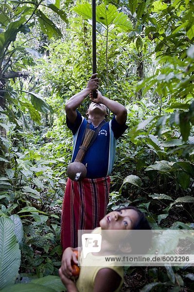 An Achuar man demonstrates using a blowgun  Amazon  Ecuador  South America