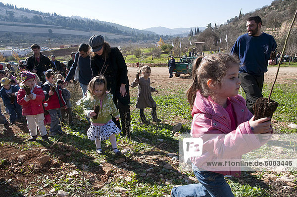 TU Beshvat jüdische Festival  Baumpflanzung  Veranstaltung  organisiert von der JNF ein Jerusalem Park  Jerusalem  Israel  Nahost
