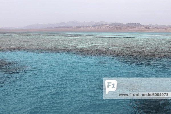 Klare rote Meer Gewässer  Ras Mohammed Nationalpark  Sinai South  Ägypten  Nordafrika  Afrika