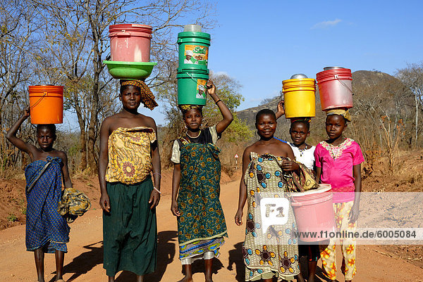 Gruppe von Frauen tragen von Wasser auf Kopf  Tansania  Ostafrika  Afrika