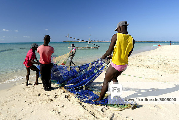 Fischer ziehen in Net  Pangane Beach  Mosambik  Afrika
