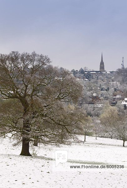 Hampstead Heath im Schnee  London  England  Vereinigtes Königreich  Europa