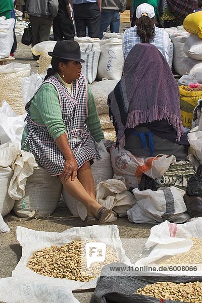 Indische Frau verkaufen Limabohnen auf dem Markt große Dorfbewohner in Saquisili  wahrscheinlich der wichtigste Markt in ländlichen Ecuador  nördlich von Latacunga in Cotpaxi Provinz Central Highlands  Ecuador  Südamerika
