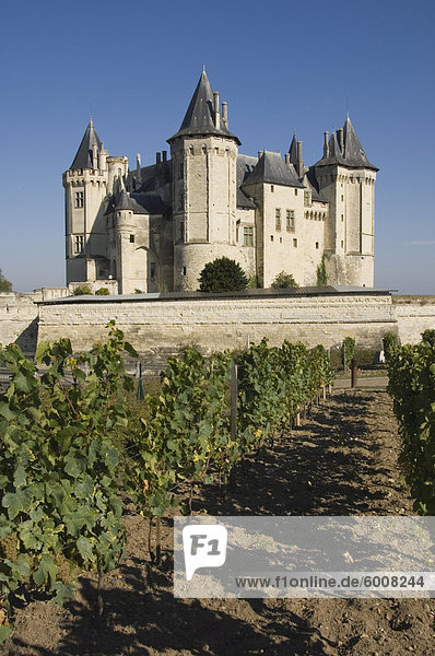 Weinberge um das Chateau de Saumur  Maine-et-Loire  Pays De La Loire  Frankreich  Europa