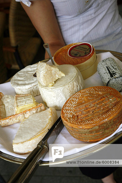 Käseplatte mit traditionellen Käse aus der Normandie und der Bretagne  Frankreich  Europa
