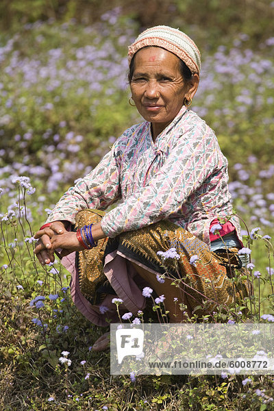 Woman sitting in field of wild flowers  Royal trek  Pokhara  Nepal  Asia