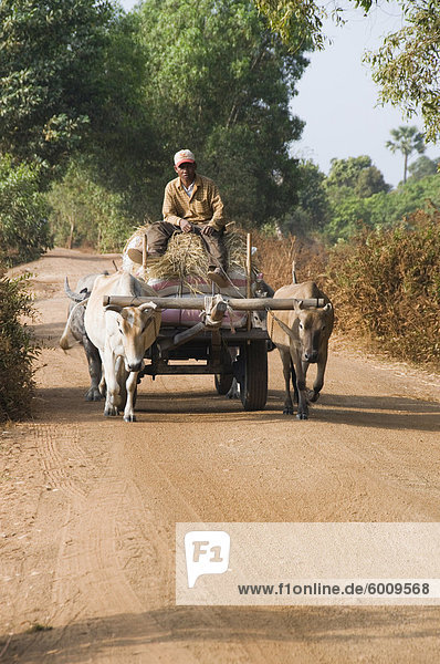 Ox cart  Cambodia  Indochina  Southeast Asia  Asia