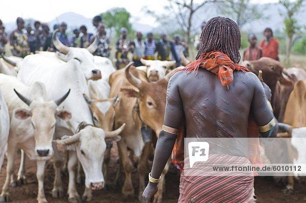 Blutende Hamer Frau nach wird gepeitscht  Jumping Bull Zeremonie  Omo-Tal  Äthiopien  Afrika