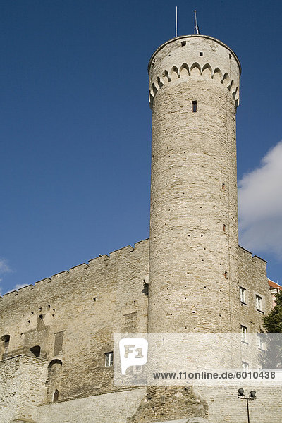 City walls and Tall Herman Tower  Tallinn  Estonia  Baltic States  Europe