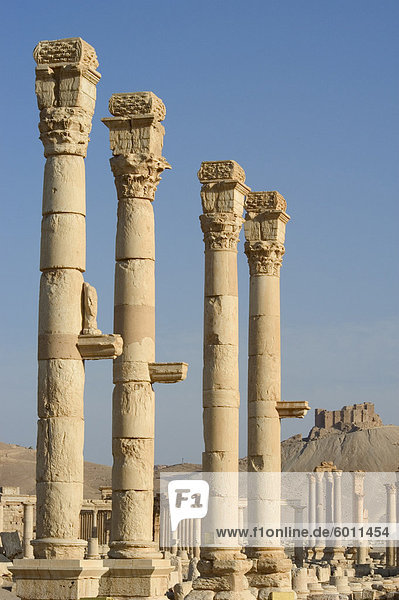 Archäologische Ruinen und Qala'at ibn Maan Burg in Ferne  Palmyra  UNESCO Weltkulturerbe  Syrien  Naher Osten