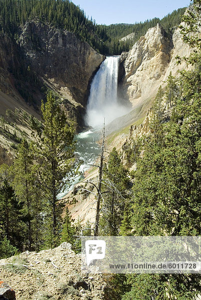 Yellowstone Canyon  Yellowstone National Park  UNESCO World Heritage Site  Wyoming  Vereinigte Staaten von Amerika  Nordamerika