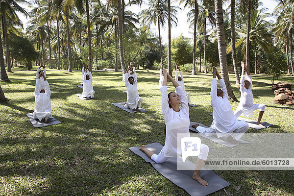 Gruppe Yoga-Session auf dem Rasen auf der JAX-Retreat