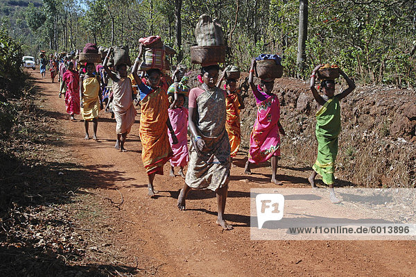 Gruppe von Didai Tribeswomen aus ihrem Dorf zu Fuß  auf dem lokalen Markt  Onukudelli  Orissa  Indien  Asien