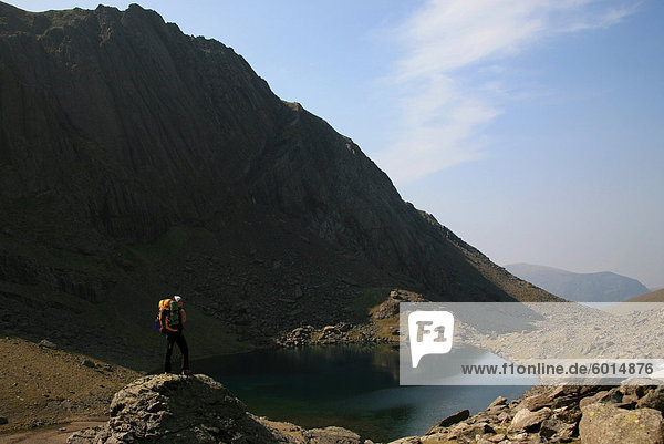 A hiker looks across the still waters of Llyn Du'r Arddu  one of Wales's highest lakes  which lies under cliffs below the Snowdon railway and the summit of Snowdon  Snowdonia  Wales  United Kingdom  Europe