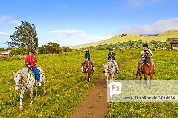 Horseback riding at Parker Ranch  The Big Island  Hawaiian Islands  United States of America  Pacific  North America