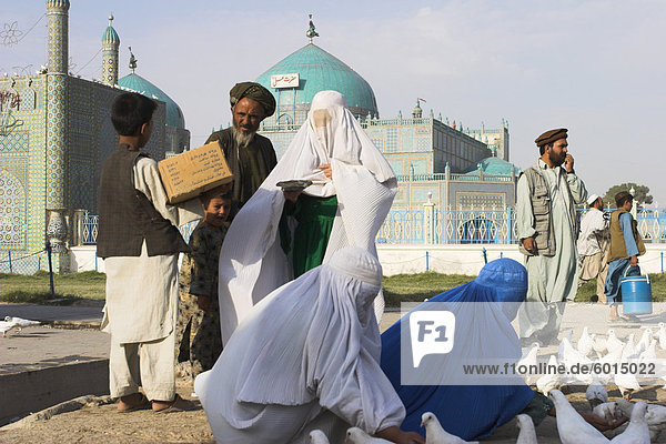 Familie Fütterung der berühmten weißen Tauben  Schrein von Hazrat Ali  Mazar-I-Sharif  Provinz Balkh  Afghanistan  Asien