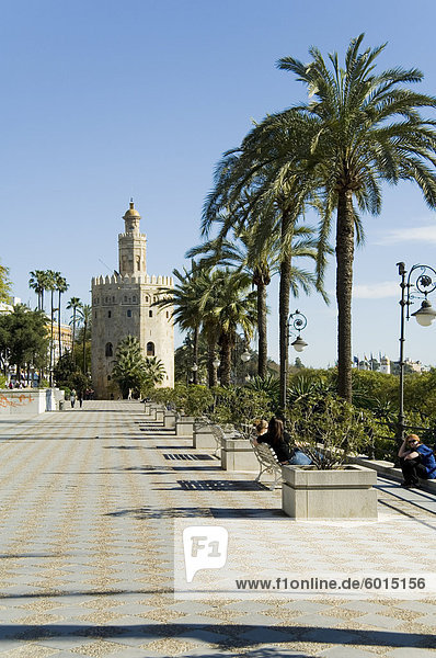 Torre del Oro  El Arenal District  Sevilla  Andalusien  Spanien  Europa