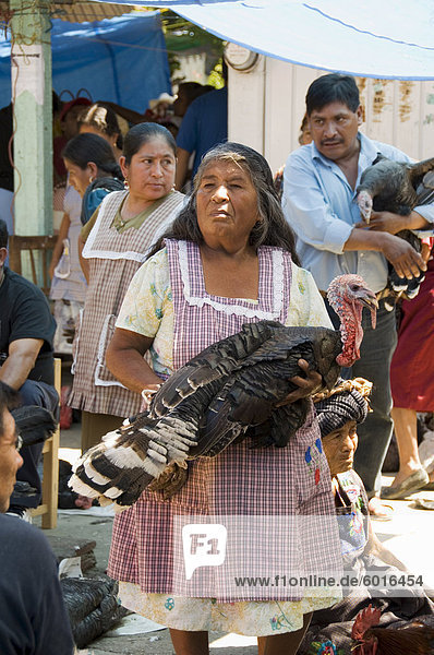 Puten zu verkaufen in Markt  Zaachila  Oaxaca  Mexiko  Nordamerika