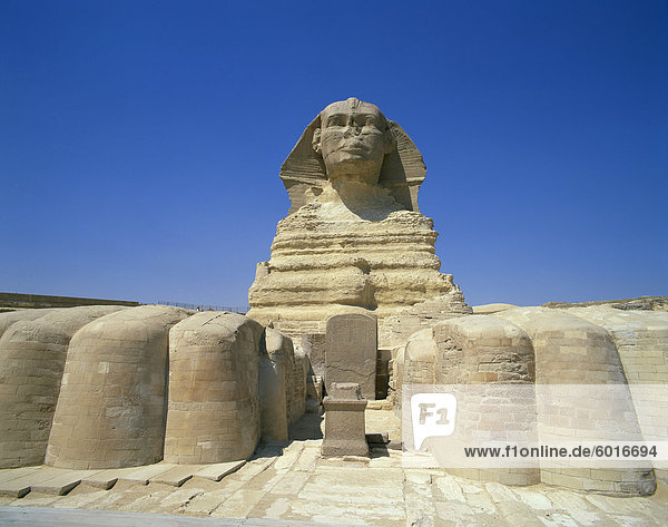 Die große Sphinx  Giza  UNESCO Weltkulturerbe  Kairo  Ägypten  Nordafrika  Afrika