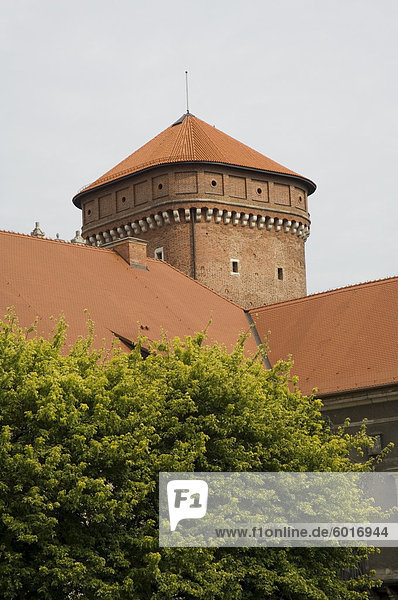 Königsschloss Bereich  Europa  Polen  Krakow (Krakau)  UNESCO Weltkulturerbe