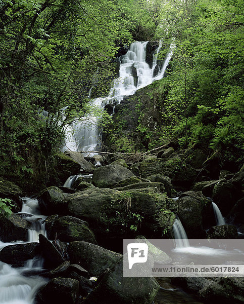 Torc Wasserfall  Killarney  County Kerry  Munster  Eire (Irland)  Europa