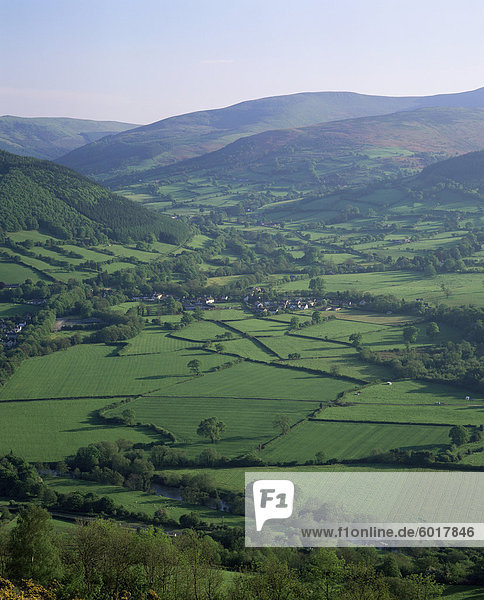 Felder in den Tälern  in der Nähe von Brecon  Powys  Wales  Vereinigtes Königreich  Europa