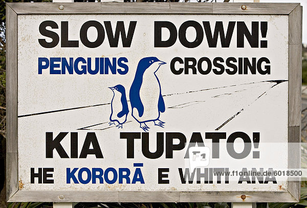Unterschreiben Sie Warnung Treiber über Pinguine in der Straße  Wellington  Nordinsel  Neuseeland  Pazifik