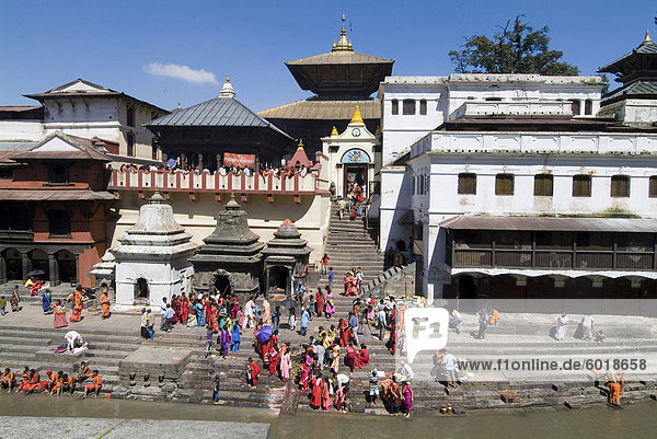 Hindu festival  Pashupatinath Temple  Kathmandu  Nepal  Asia