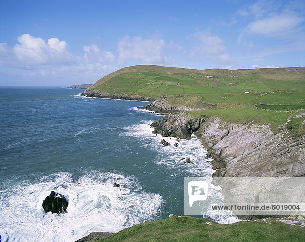 Kabeljau Kopf  Beare Halbinsel  County Kerry  Munster  Eire (Irland)  Europa