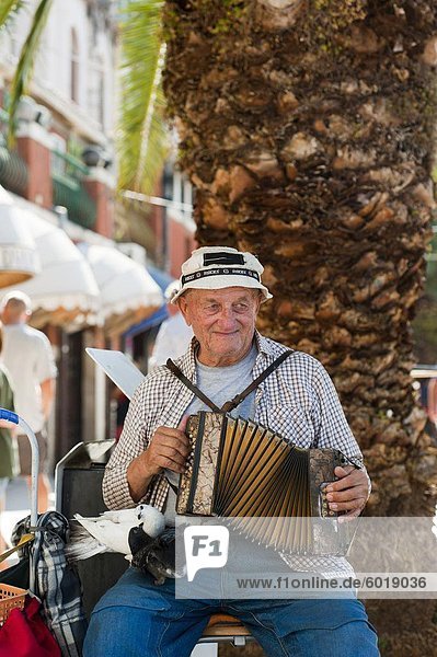 Street musician  Split  region of Dalmatia  Croatia  Europe