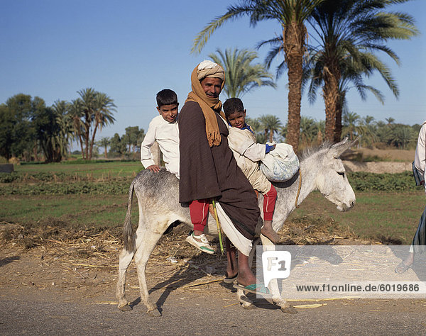 Porträt eines Mannes und zwei jungen Reiten einen Esel  Ägypten  Nordafrika  Afrika